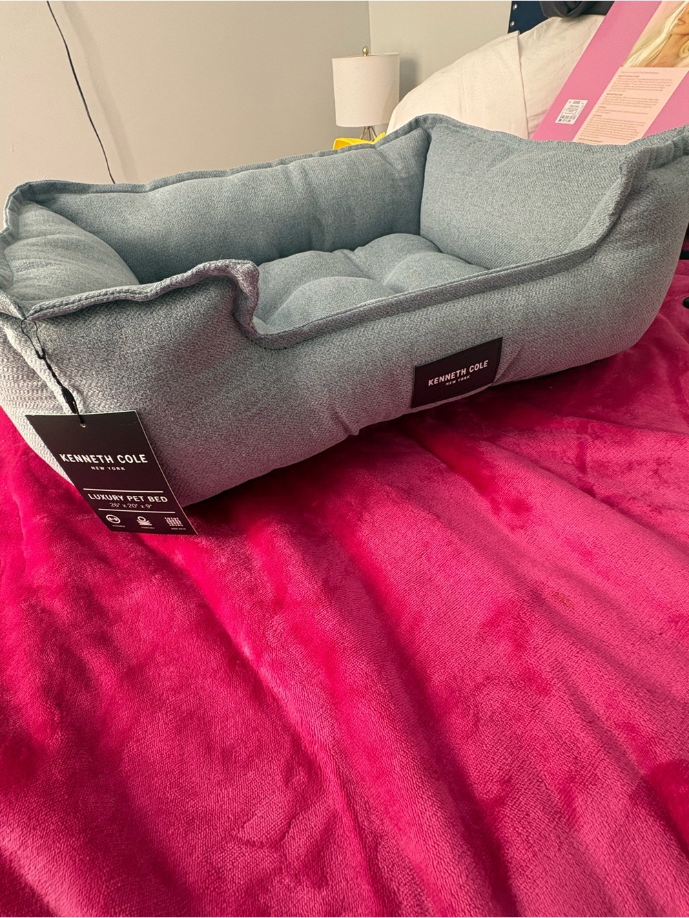 Pet Bed Identified